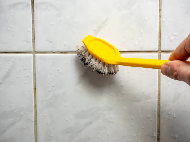Best Best Mold Removal Companies  in Winder, GA