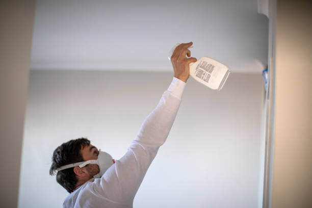Best Local Mold Removal Service  in Winder, GA