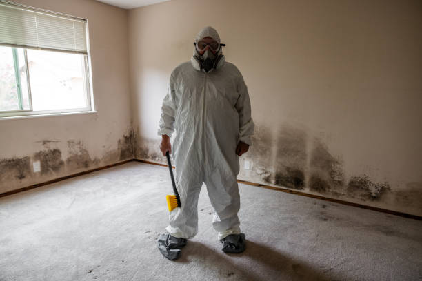 Best Attic Mold Removal  in Winder, GA